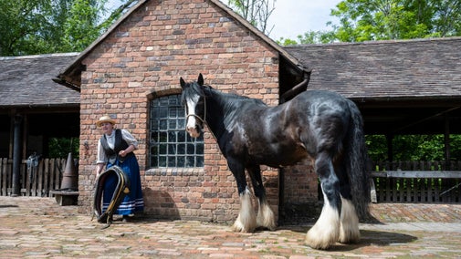A woman in Victorian costume holds a heavy horse collar. Next to her stands a huge Shire horse called George.